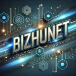 Bizhunet