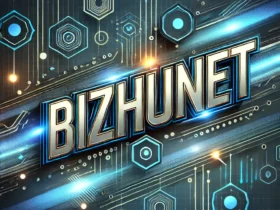 Bizhunet